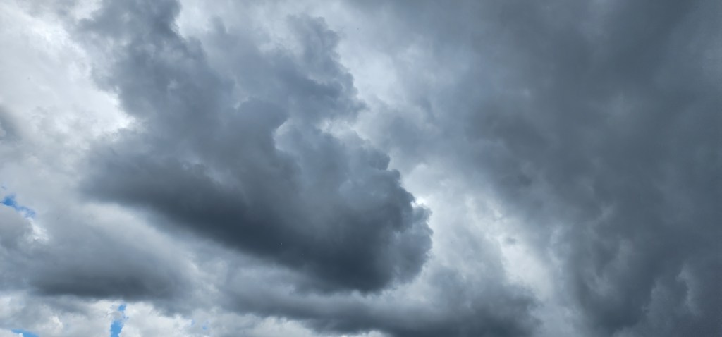 Tout est sombre et si gris…