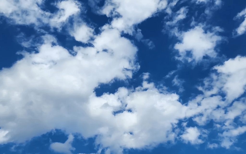 Deux vrais mukis, un faux&nbsp;tanka…