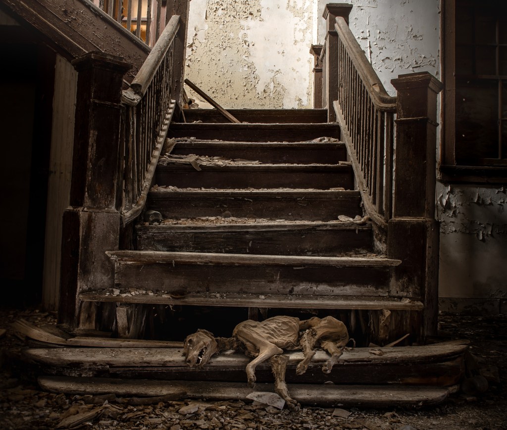 L’Escalier de la&nbsp;Mort…